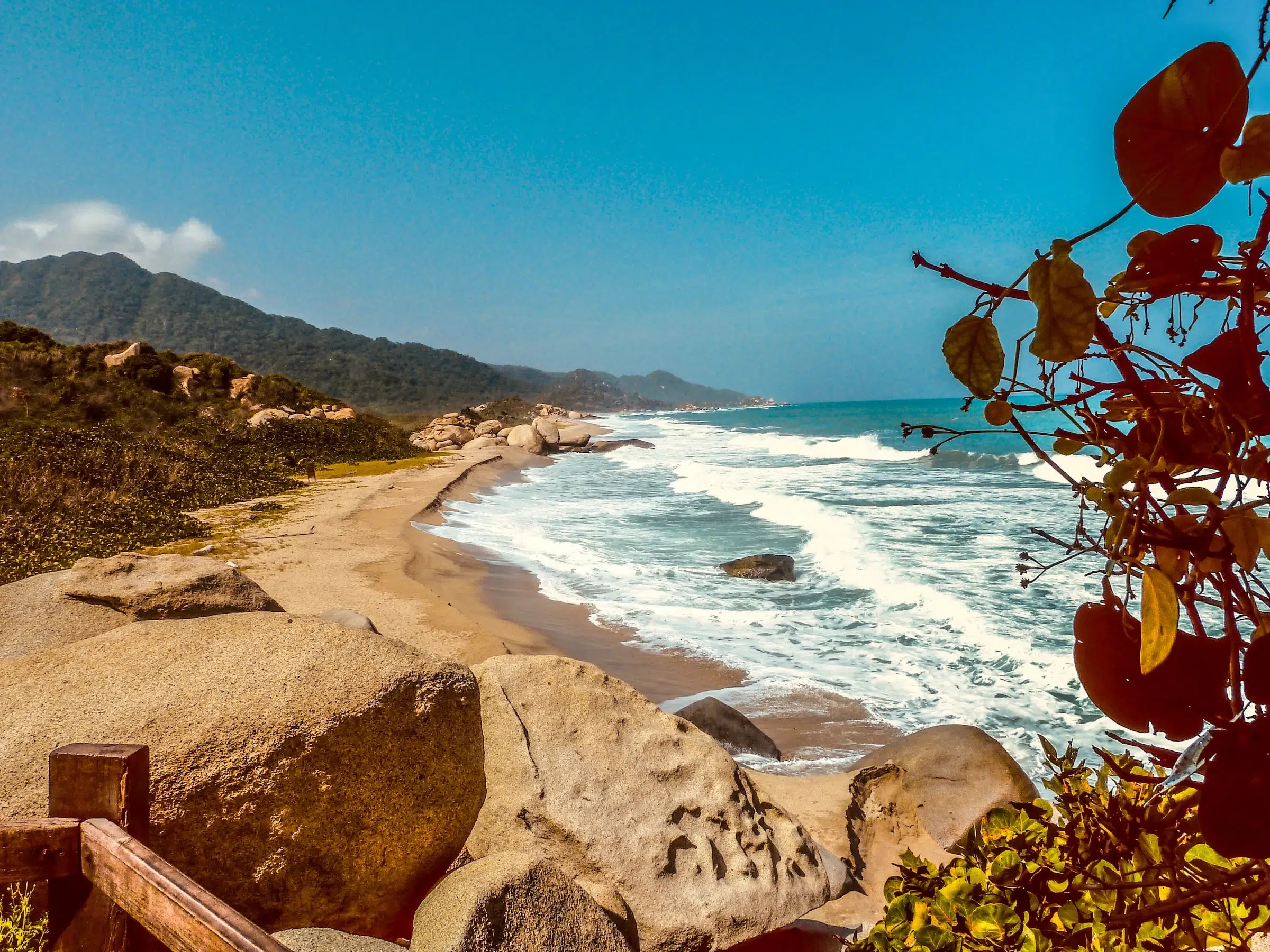 Arrecife, Tayrona National Natural Park