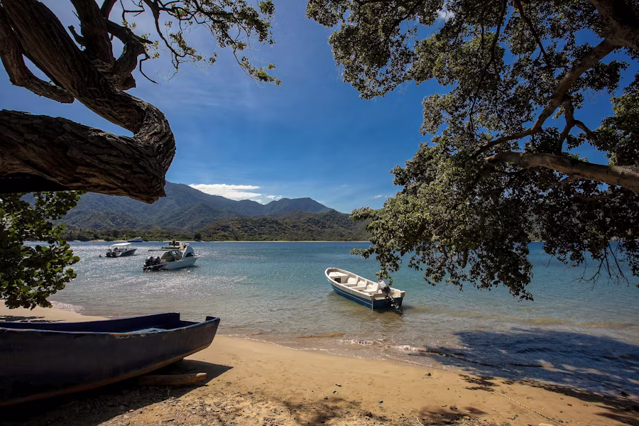 Tayrona Nature